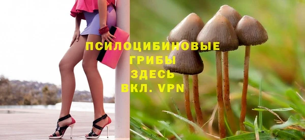 мет Баксан